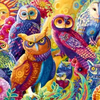 Owl Autonomy