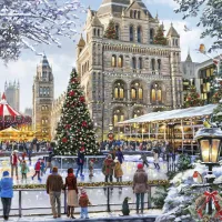 Skating Outside Natural History Museum