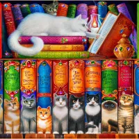 Cat Bookshelf