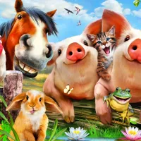 Petting Farm