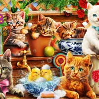Kittens in the Potting Shed