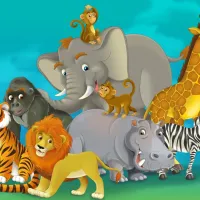 Safari