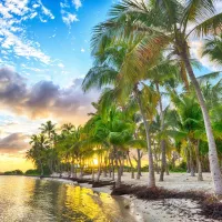Guadeloupe - Anse Champagne
