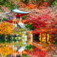 Temple Daigo-ji en Automne, Kyoto