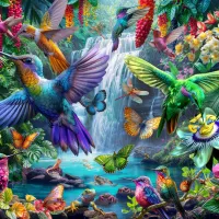 Tropical Hummingbirds