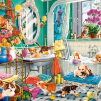 Crazy Pet Bath