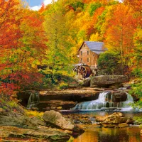 Automne Magique