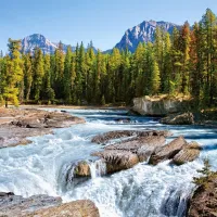 Canada, Parc National de Jasper : Rivière Athabasca