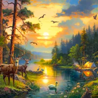 Coucher de Soleil sur la Rivière de la Forêt