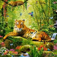 Sa Majesté, le Tigre