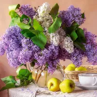 Nature Morte Lilas