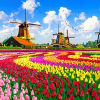 Moulins à Vent Hollandais, Pays-Bas