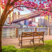 New York, États-Unis