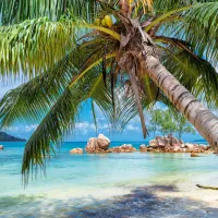 Plage Tropicale
