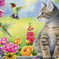 Le Jardin de Tabitha