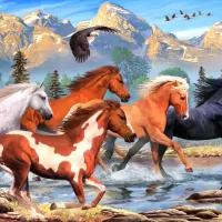 Wild and Free