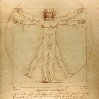 De Vinci - L'Homme de Vitruve