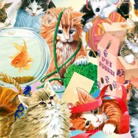 Curious Cats