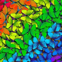 Rainbow Butterflies