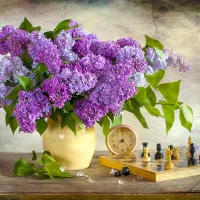 Lilas et échecs