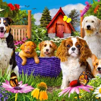 Écusson pour Chiot