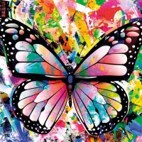 Colorful Butterfly