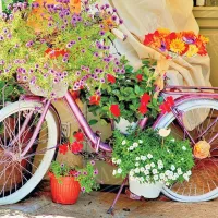 Bicycle with Flowers