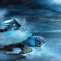 House & Turtle