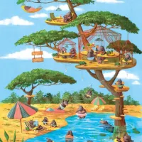 Oasis