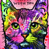 Dean Russo: 9 Lives