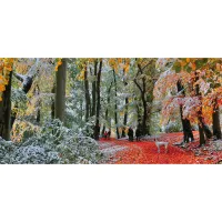 Neige En Automne