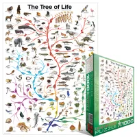 L'évolution - l'arbre de vie