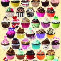 Cupcakes au chocolat