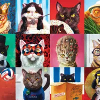 Funny Cats