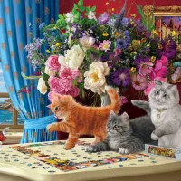 Chats Curieux