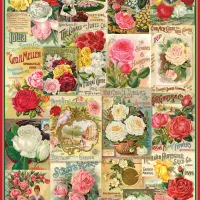 Catalogue de Graines de Roses