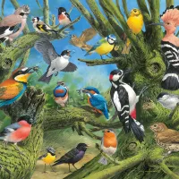 Joahn Francis - Garden Birds