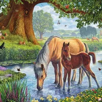 Steve Crisp - The Fell Ponies