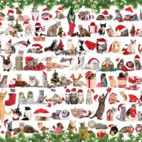 Chats de Noël