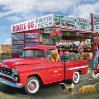 1959 Chevrolet Apache-Giordano