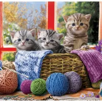 Pièces XXL - Knittin' Kittens