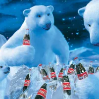 Coca Cola - Ours Polaires