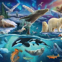 Les Animaux du Grand Nord