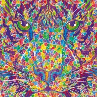Coeur Sauvage - Tigre