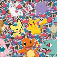 Pièces XXL - Pokemon