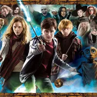 Harry Potter (TM)