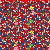 Challenge - Super Mario