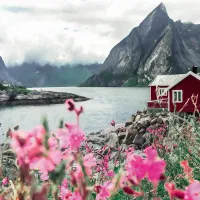 Lofoten - Norvège