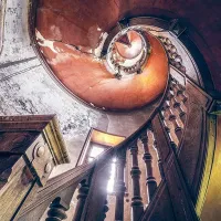 Lost Places - Oak Spiral