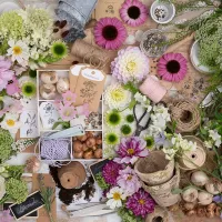 Magnifique Fleur d'Amour
